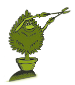 Cassier Jardin Services