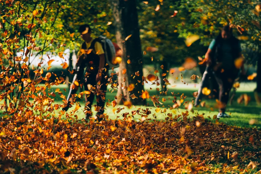 entretien jardin automne à Bourges